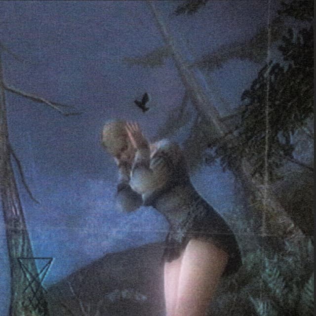 neverr comingg backk cover art