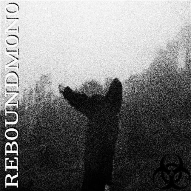 REB0UNDM0N0.mts cover art