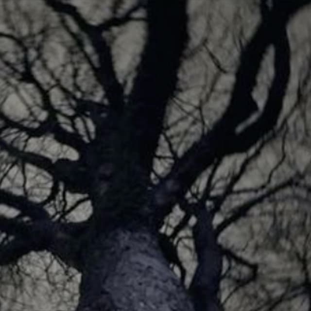 c'mon live a little cover art